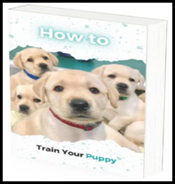 HOW TO TRAIN YOUR PUPPY - ONLY $19 