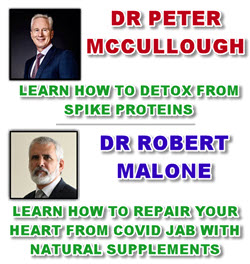 DETOX FROM SPIKE PROTEINS AND REPAIR YOUR HEART - DR PETER MCCULLOUGH / DR ROBERT MALONE